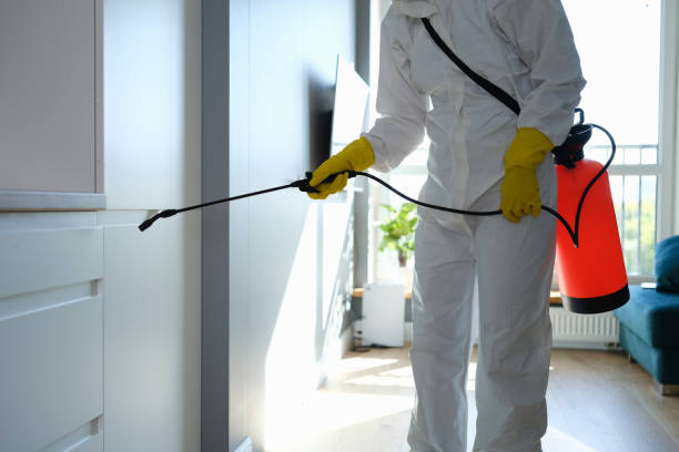 Best Mold Testing  in Robersonville, NC