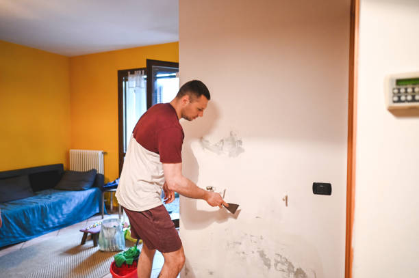 Best Home Mold Removal  in Robersonville, NC